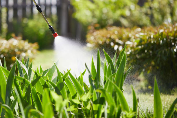 24/7 Emergency Ant Control experts in Somerset, KY